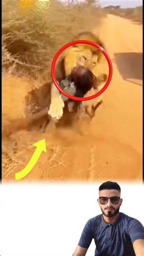 ​قصص من قلب السفاري عندما تقترب الطبيعة أكثر مما نتوقع​#حياة_برية #سفاري #مغامرة #توعية