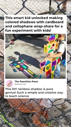 DIY Color Shadow Magic! 🌈✨