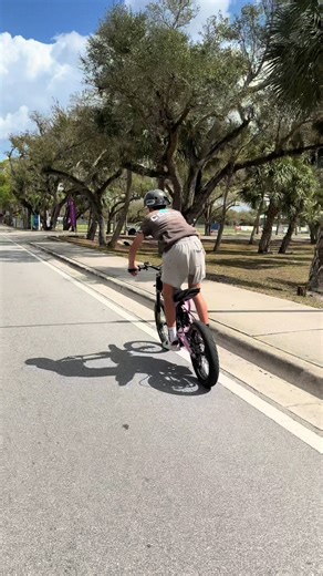 Explore the Chill Clips Shop for Surron Wheelie Fun!