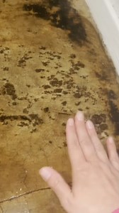 62K views · 325 reactions | Durant residents speak out on plumbing problems at apartment complex #kxii This week, residents at the Wood Manor Apartment Homes in Durant are speaking out about plumbing problems that have caused them to move out just over a week after moving in. By Garrett Stringfellow with News 12. #durantok #apartmentliving #plumbingservices | KXII-TV | Facebook