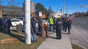 1.9K views · 11 reactions | Watch the full newscast here: https://bc.ctvnews.ca/video?clipId=1540994 | CTV Vancouver | Facebook