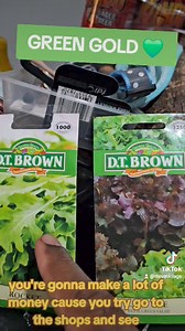 1.5K views · 118 reactions | FREE BUSINESS IDEA  For many in the city growing the same items, try order in different seeds. Special salads are in high demand in Port Moresby so I encourage people to plant specific salads not lettuce but salads like this. Money is in our economy, but only lazy people complain and blame the government for them not being successful. If you work hard = success = money  =health @followers | Steven Kilage | Facebook