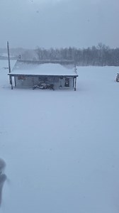 39K views · 384 reactions | Looks good from here. | Barrows Performance Inc. | Facebook