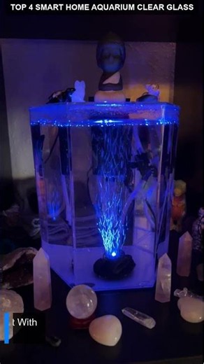 Top 4 Smart Home Aquarium Clear Glass | Sleeksmart Aquarium Glass