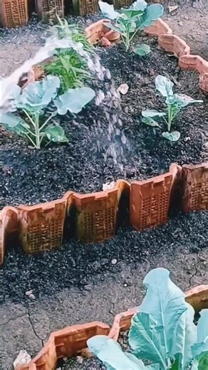 The Broccoli Care Method: Fix Your Brain with Vegetables| #shorts