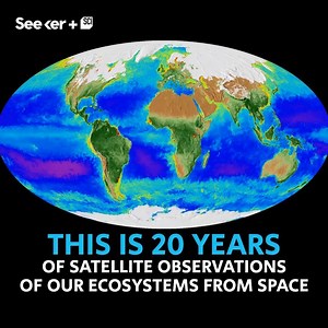 This is the most complete view of global biology to date. Thanks NASA! | Seeker Universe