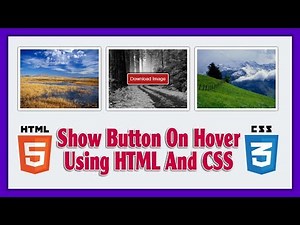 Show Button On Hover Using HTML5 And CSS3 | Web Design Tutorial