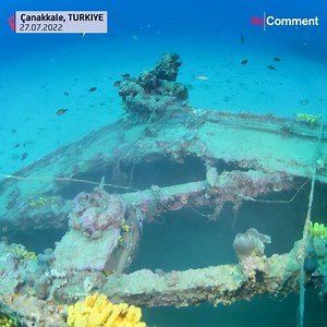 4.4K views · 18 reactions | The wreck of the British flagship "HMS Majestic", one of the ships sunk during the Çanakkale Wars, was filmed by talented documentary director and underwater photographer Tahsin Ceylan. More No Comment videos  www.euronews.com/nocomment | NoComment | Facebook