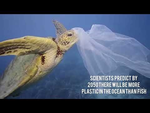 Plastic Pollution PSA | Earth Day 2019