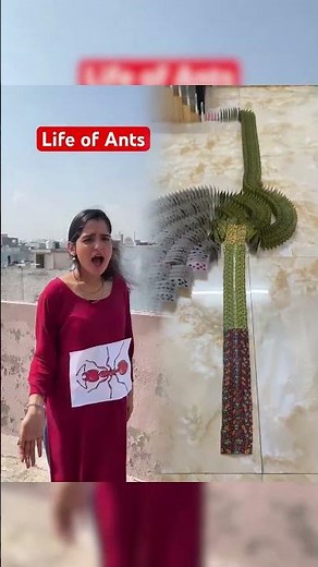 If my friends become ants 🐜 Sarcaster ft