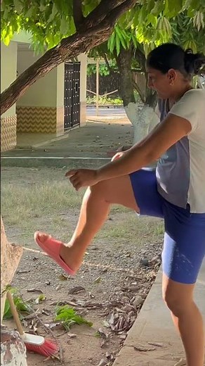 El árbol milagroso 🤣