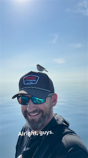 Kyle Tyree on Instagram: "We were out on Lake Superior when Caleb @hookedupwi had this little bird land on his head! The little guy stayed with us for a five mile trip closer to shore and finally flew away after about 30 minutes of hanging out with us! So cool! #wisconsinfisherman #fishing #lakesuperior"