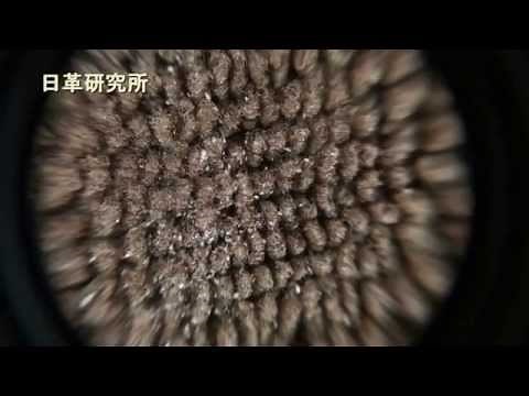 How to Get Rid of Dust Mites