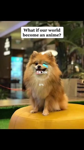 Transforming into Anime with Euro the Pomeranian