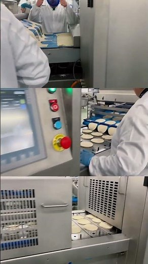 The Rijkaart Pie Production Line makes pies that look as good as they taste 🥧 | Vanrooy Machinery