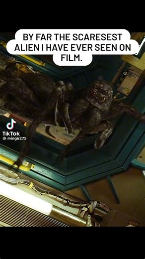 By far the scariest Alien on film. A giant talking spider is to much bro. | Sasha Dunn