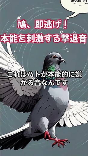 【鳩が嫌いな音】ベランダに来なくなる！ハト撃退音を今すぐ試して！