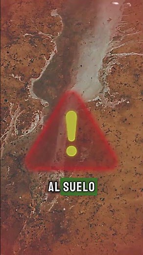 Día Mundial de Lucha Contra la Desertificación
