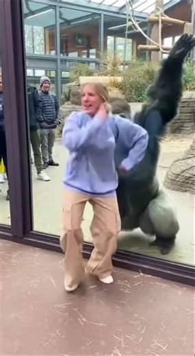 Audience Goes CRAZY 😳 | Cute Girl & Gorilla Dance Show