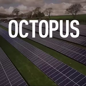 7.8K views · 223 reactions | Cheaper & greener. The average Big 6 standard tariff is £1067. Octopus 100% renewable is £838. | Octopus Energy | Facebook