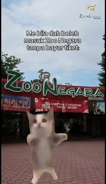Yes, you can claim a birthday FREE ticket within 30 days starting from your birthday!🎂🤩 Kindly proceed to the Info B counter located at our Main Entrance to present your MyKad/MyKid and complete a form. Then, you can claim your ticket at the walk-in ticket counter, and voila! Have a wonderful time exploring the zoo!🤠👍🏻 #BirthdayPromo #Birthday #Free #ConservationMatters #AnimalWelfare #ZooNegaraMalaysia #ZooNegaraMalaysia2024 | Zoo Negara Malaysia
