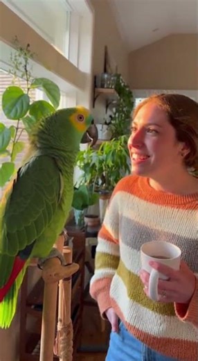 Parrot Casually Judges Her Life Choices 😂🦜
