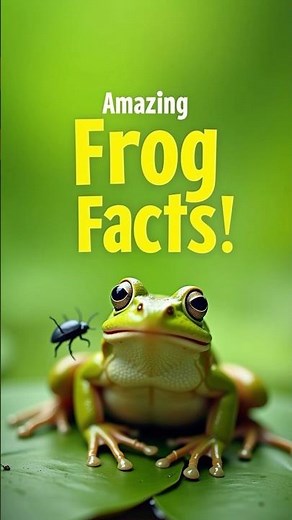 Fascinating Frog Facts 🐸 | Nature’s Little Jumper