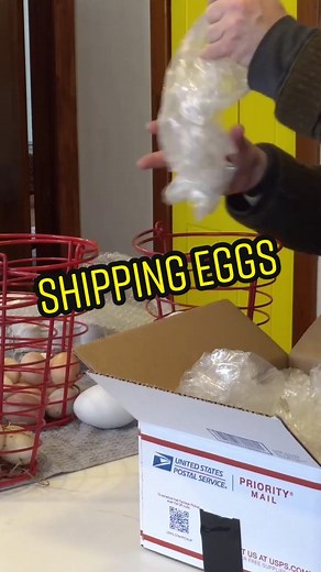 How to Ship Eggs: Step-by-Step Guide