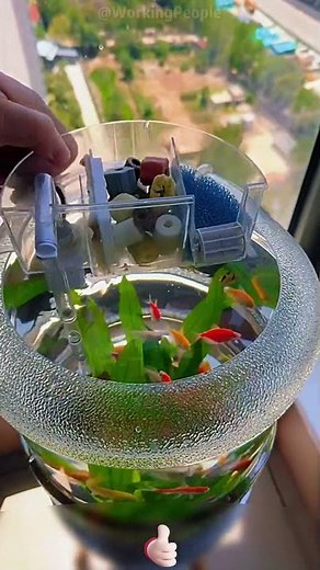 Convenient methods for making a self - made practical circular bucket fish tank 🐟🪣✨