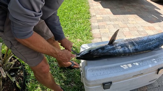 We went offshore for dinner and the ocean answered with snapper
