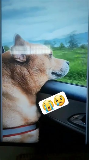 Very Very Miss you ‪@AnantRastogi‬ #AnataRastogi #Leo