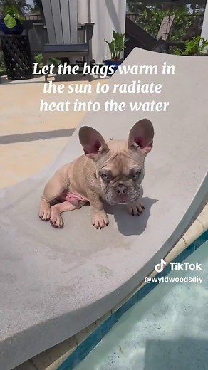 DIY Solar Pool Heater with Black Trash Bags