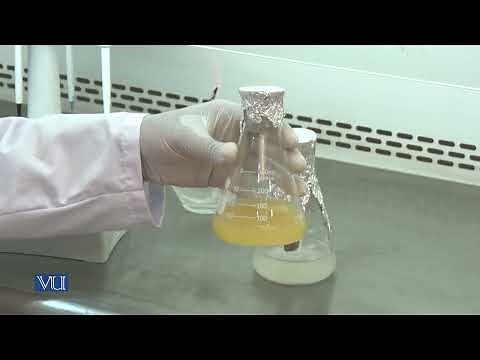Extraction of Hydrolytic Enzyme from Microbes | Industrial Biotechnology Practical| BT614P_Lecture05