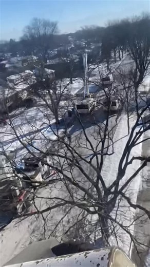 SAWVELL TREE SERVICE | 📞 847-566-9372 Sawvell Tree Service Your premier preferred tree service. Call now! 🙌🏻 #treeservice #tree #treeremoval #treecare #fyp | Instagram