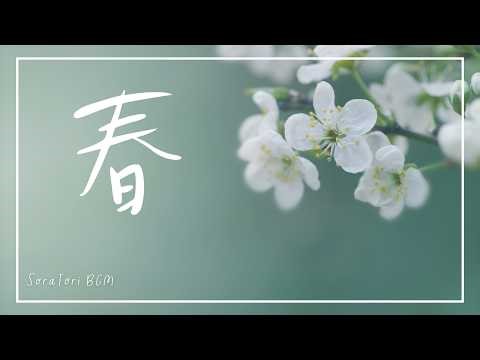 [Morning BGM] Spring: Gentle Days That Change Little by Little | A Quiet Morning That Begins Gently