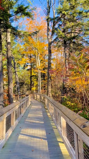 Angelo Garcia on Reels