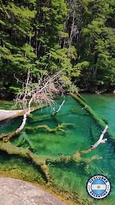 El Cajón del Rio Azul 💙 👉 El Cajón del Azul está inmerso en el medio del bosque y desde allí se puede observar el encauzamiento del río Azul, razón por la cual el lugar lleva ese nombre. Como es un área de reserva, no es posible ingresar con vehículos, sino que sólo se accede caminando. | Descubre Argentina