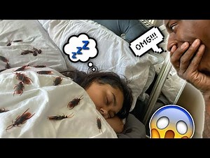 COVERED HER IN COCKROACHES TO SEE HER REACTION