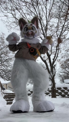 🤓🤓 #fursuiter #furryfandom #furrycommunity #fyp #fursuit | fursuit