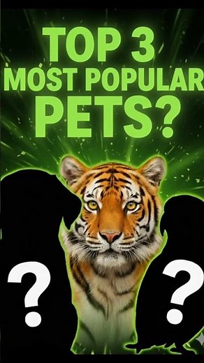 Discover the MOST Popular Pets: Top Choices for Animal Lovers