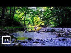 4K Golden Hour Spring Forest Stream 🌿 Gentle Water Sounds for Sleep & Focus (No Birds)