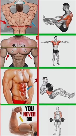 full body muscles workout 🏋️ fitness motivation