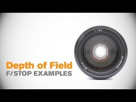 Depth of Field: F/Stop Examples
