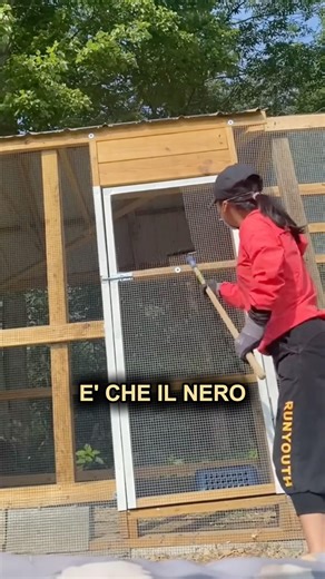Perché verniciare di nero le gabbie? 🐓