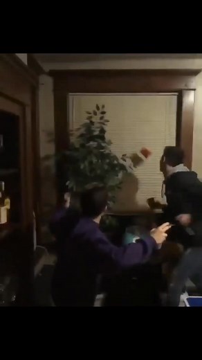 Drunk People Doing Things on Reels