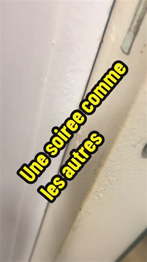 On nourrit les petits porcs qui sont affamé comme d’habitude 🥰