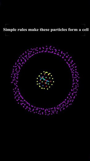 Particle Life in Desmos - Cell Formation
