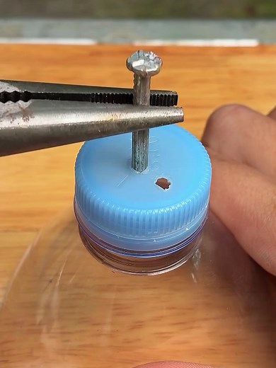 Useful Tips: Fish IT Without Apps & Home Grafting Guide