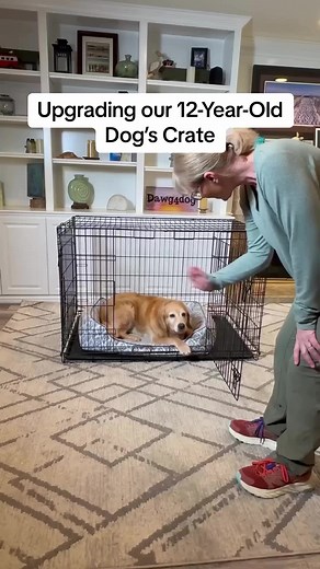The Revol Dog Crate was designed for dogs of all ages & stages. It’s garage-style door, removable tray & orthopedic Snooz crate bed make Revol a comfortable environment for Maddie, a 12-year-old Golden 🥰 🎥: @dawg4dog