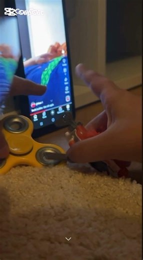 Beetle buddies - fidget spinner & mission helicopter